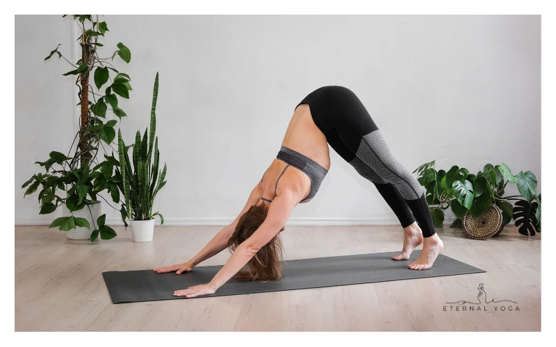 Hatha yoga flow downward facing dog pose