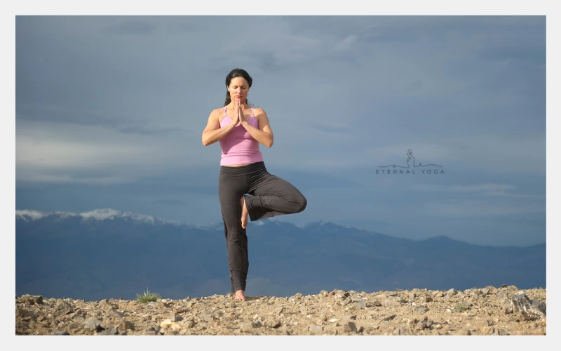 Hatha yoga flow tree pose