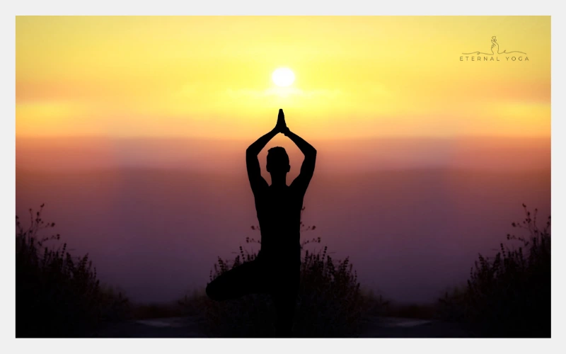 How to choose perfect type of yoga for you