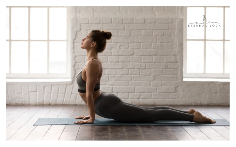 sun salutation cobra pose