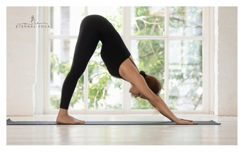 sun salutation downward dog pose