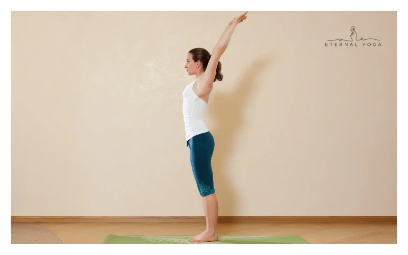 sun salutation raised arm pose 2