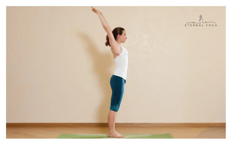 Sun salutation Raised Arms Pose