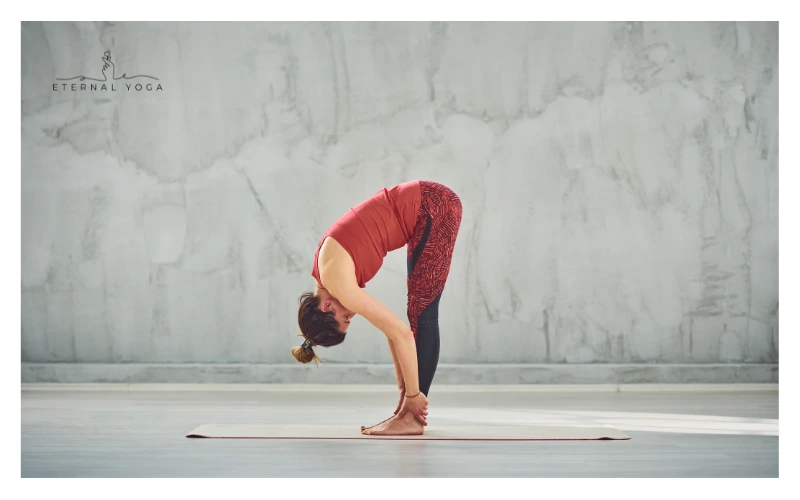 sun salutation standing forward bend 2